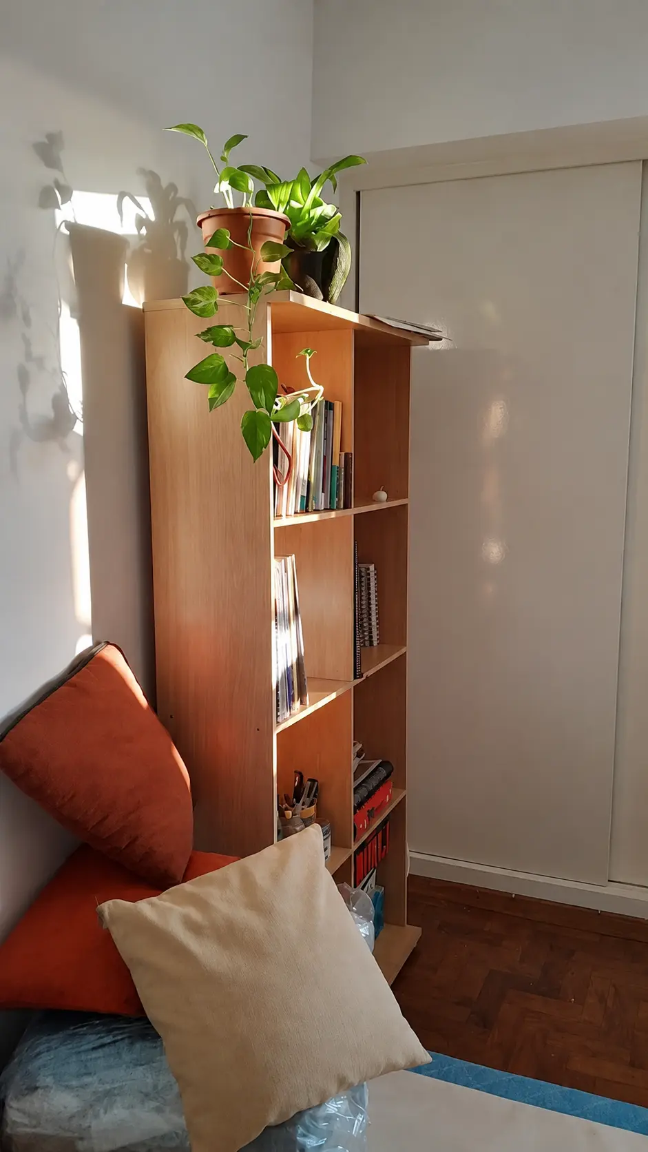 Rincón cálido con biblioteca, textiles, vegetación y luz natural